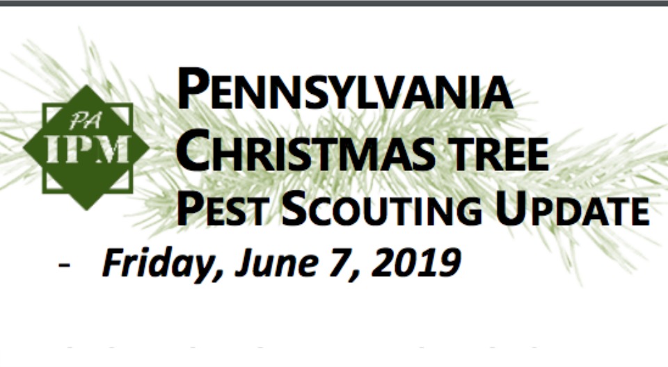 June 2019 Scouting Report