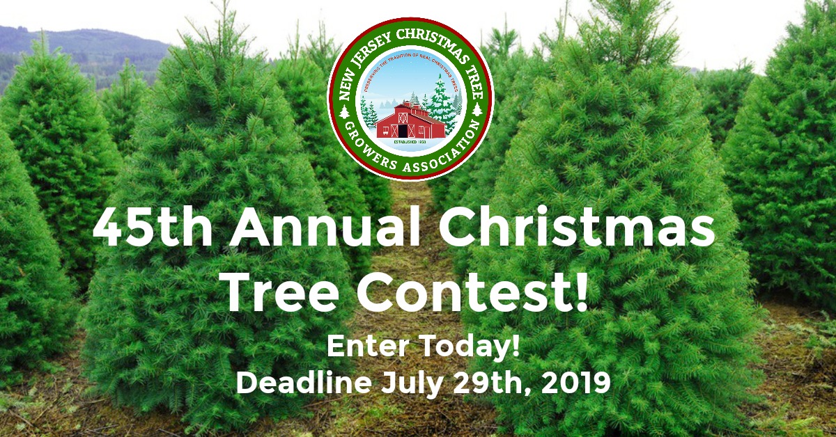 Enter NOW For The 45th Annual Christmas Tree Contest