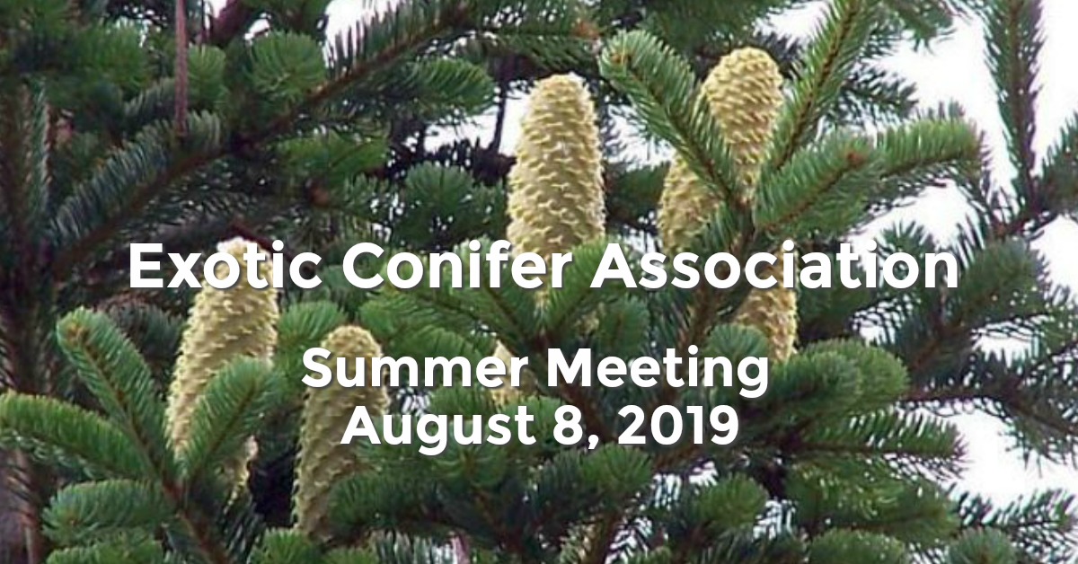 2019 Exotic Conifer Association Summer Meeting