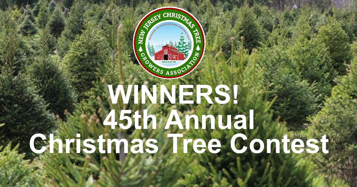 45th Christmas Tree Contest Winners!