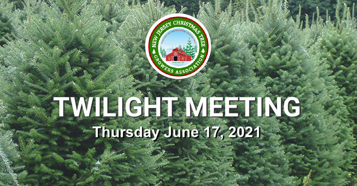 Twilight Meeting June 17th, 2021